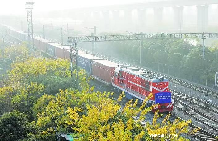 配齊物流緊跟中老鐵路，健康中國(guó)之路，共建美好生活。