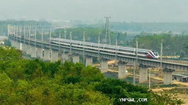 中老鐵路跨山海，區(qū)域協(xié)作優(yōu)勢(shì)更顯著