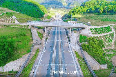 中老鐵路運輸在農(nóng)產(chǎn)品出口方面有哪些挑戰(zhàn)？